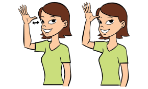 Baby Sign Language - Daddy