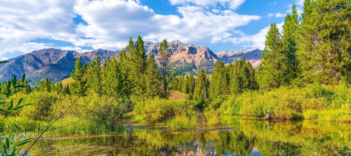 Wood River, Idaho - Idaho AEYC News